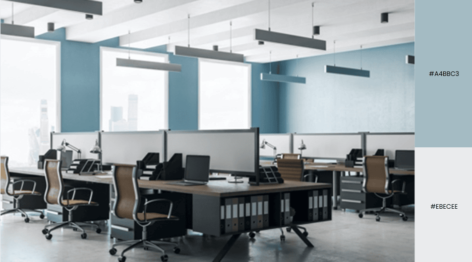 Contemporary office with modern desks, ergonomic chairs, and blue wall accents