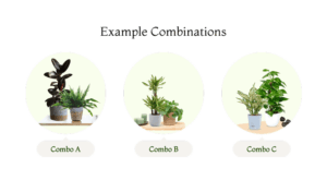 Texture Mix How to Style Your Indoor Aesthetic Plant Setup The 5 Step Formula
