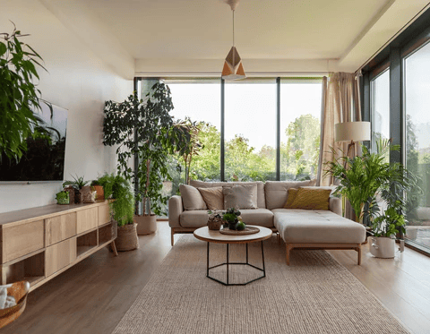 Biollic Layout for Modern Small Living room ideas