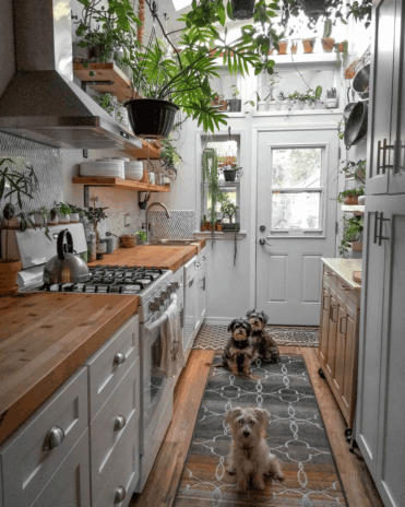 Nature claims kitchen design ideas